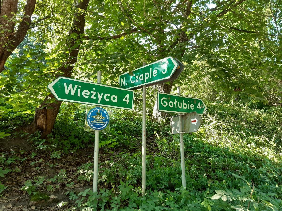 Kaszuby, Dom Kaszubski Nad Jeziorem Danielowa Dolina Шимбарк Екстериор снимка